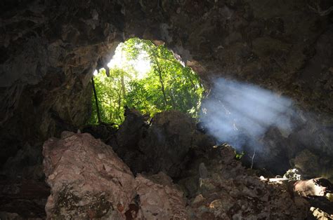 what is bat feces called|What Secrets Lurk Within a Human.